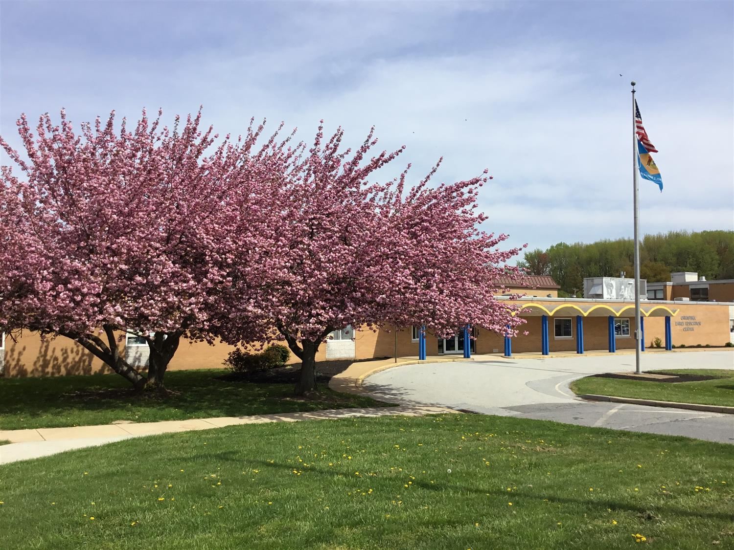  Tree at CEEC